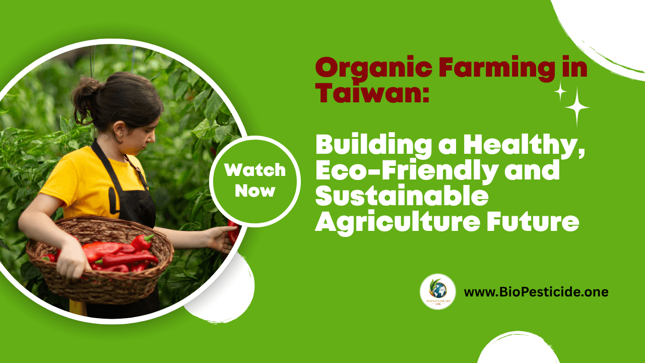 Organic Farming in Taiwan: Building a Healthy, Eco-Friendly and Sustainable Agriculture Future - Read news