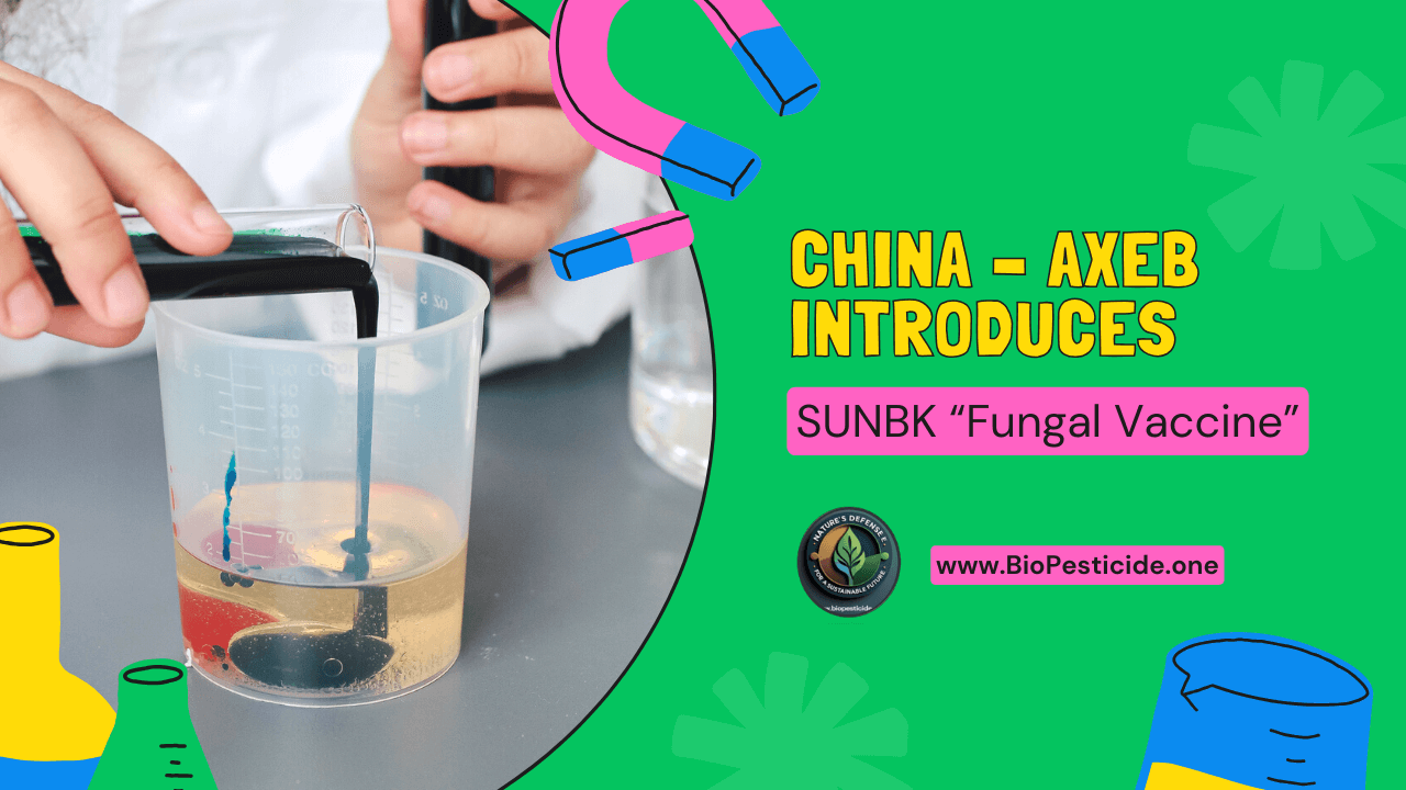 Detailed Information on SUNBK (AXEB, China) - Read news