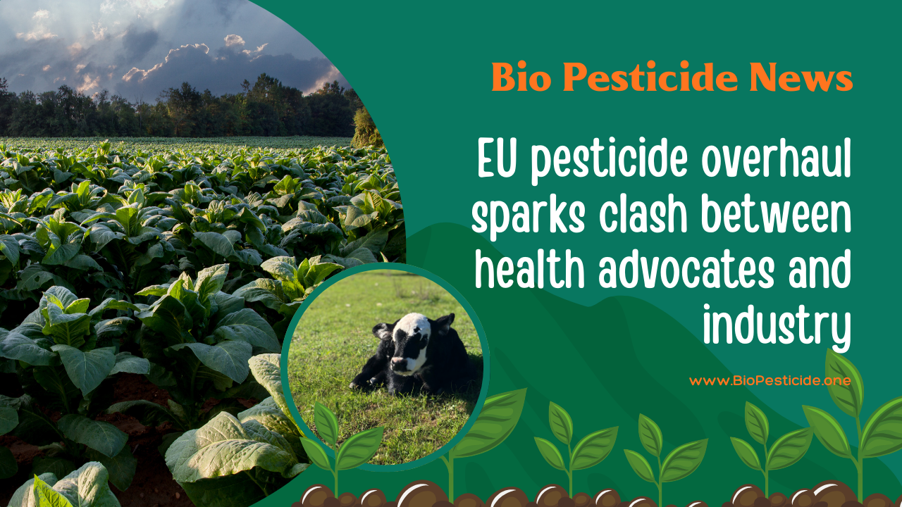 EU pesticide overhaul sparks clash between health advocates and industry - Read news