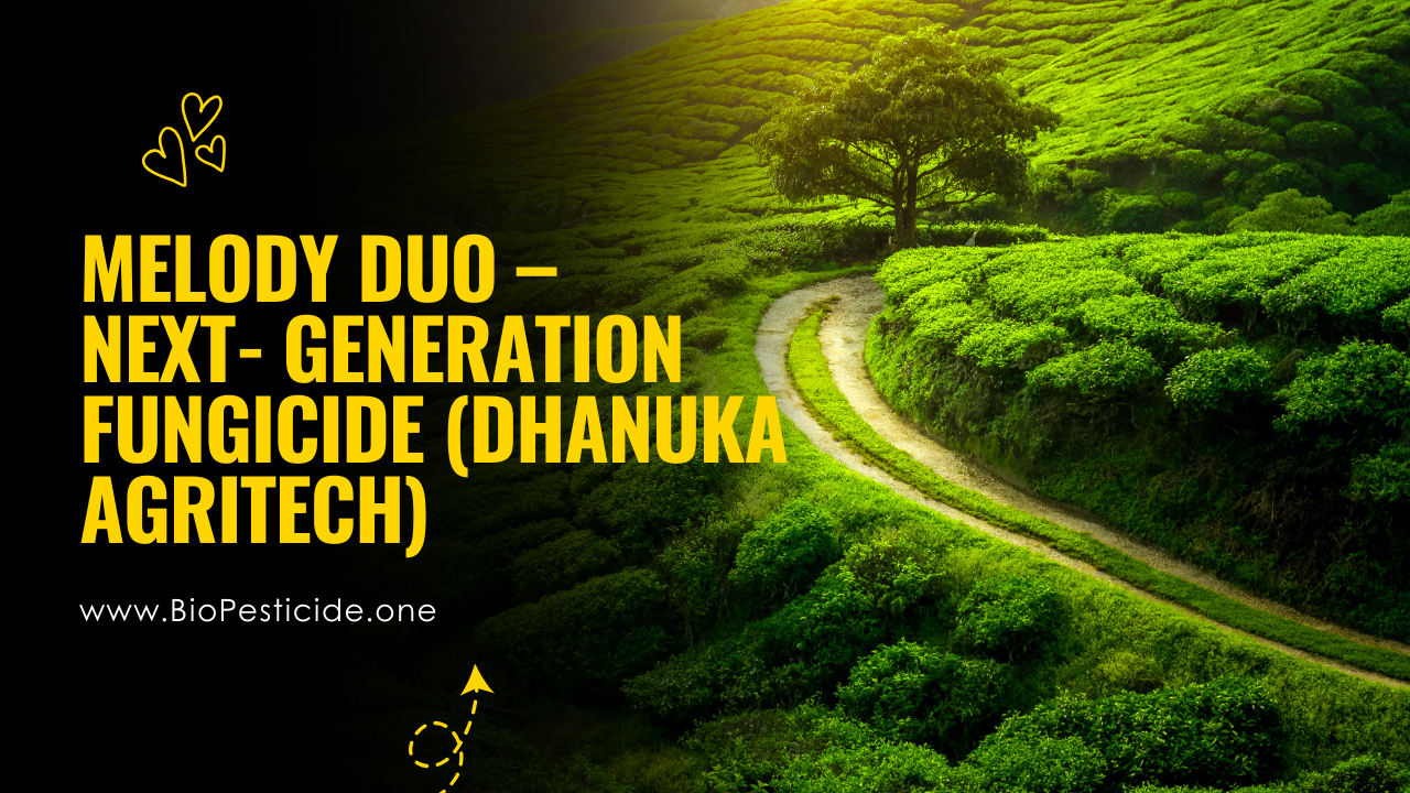 Melody Duo – Next‑Generation Fungicide (Dhanuka Agritech) - Read news