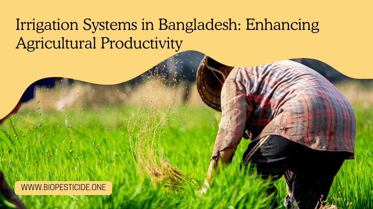 Irrigation Systems in Bangladesh Enhancing Agricultural Productivity - Read news