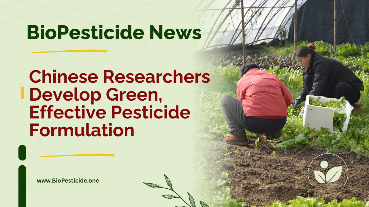 Chinese Researchers Develop Green, Effective Pesticide Formulation - Read news