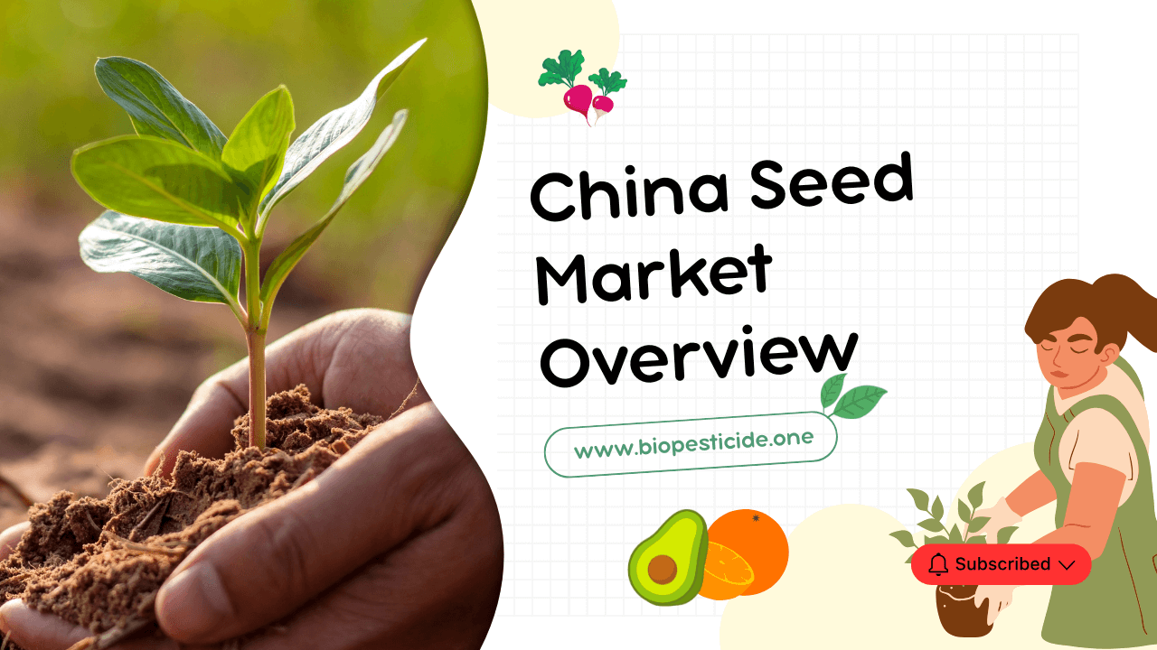 China Seed Market Overview - Read news