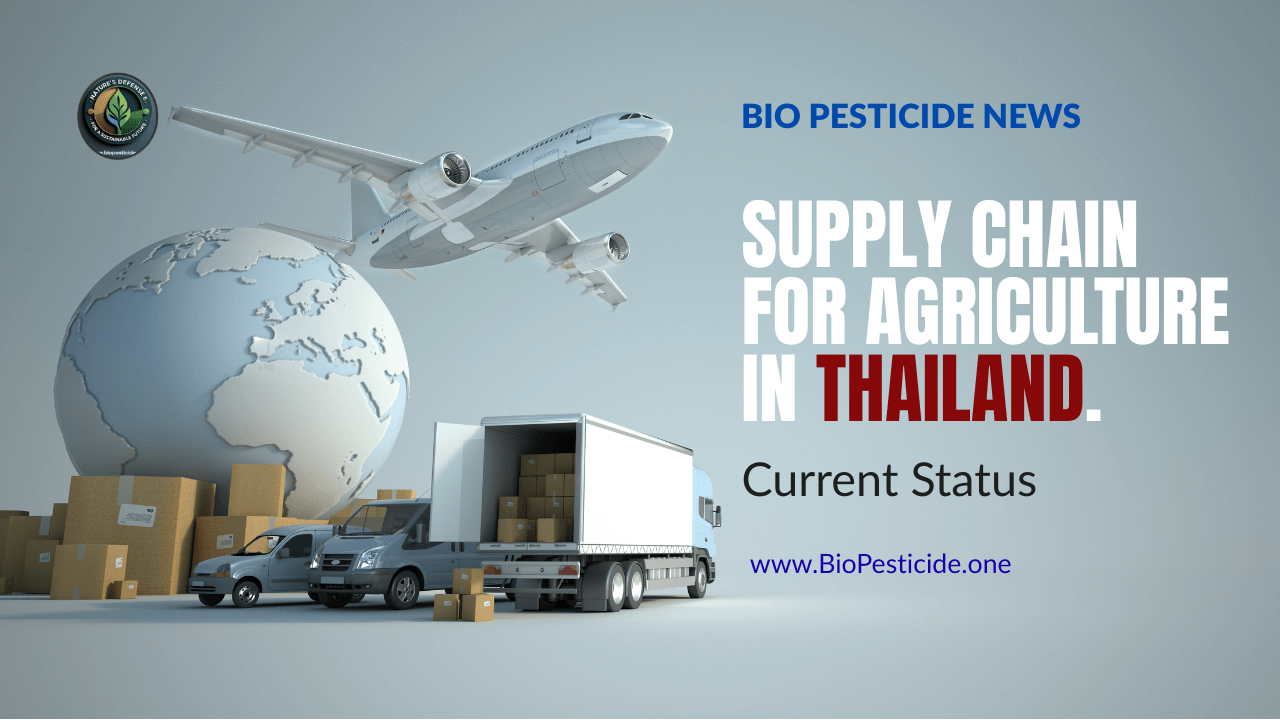Supply Chain for Agriculture in Thailand — Current Status - Read news