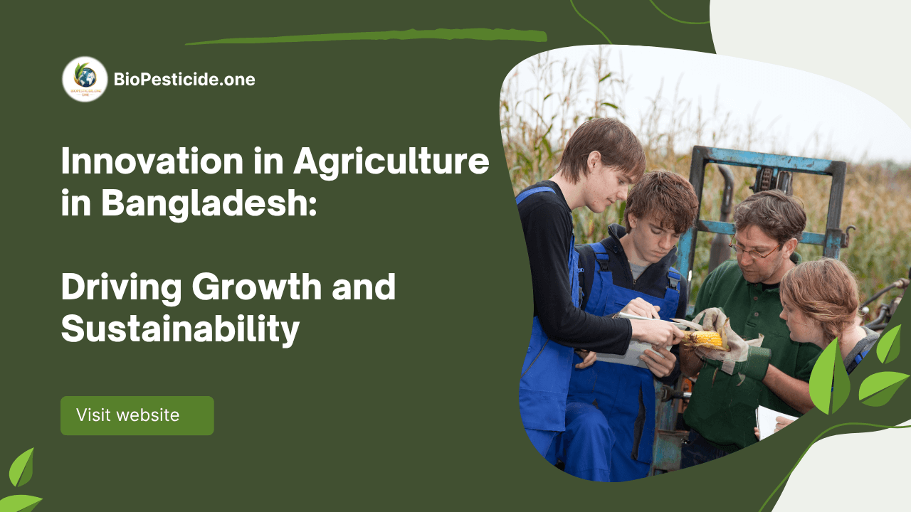 Innovation in Agriculture in Bangladesh Driving Growth and Sustainability - Read news