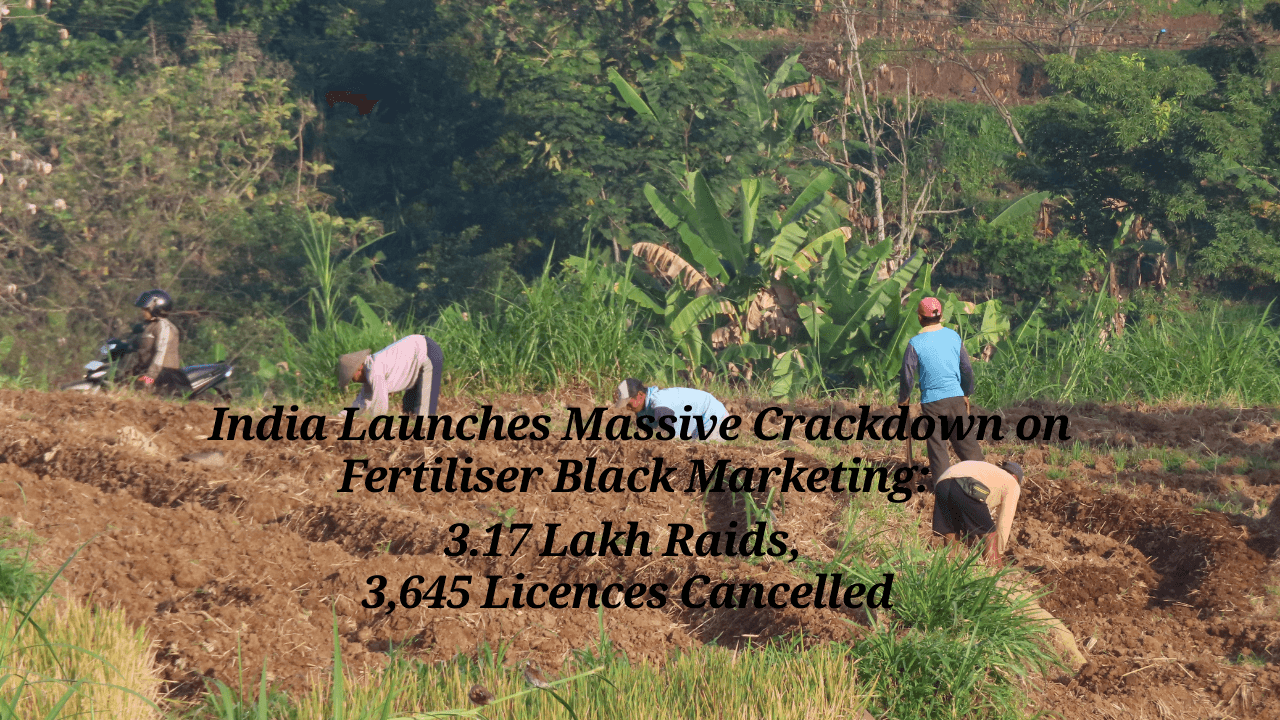 India Launches Massive Crackdown on Fertiliser Black Marketing: 3.17 Lakh Raids, 3,645 Licences Cancelled - Read news