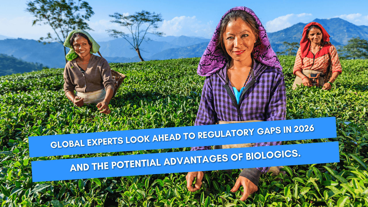 Addressing the shrinking toolbox: Global experts look ahead to regulatory gaps - Read news