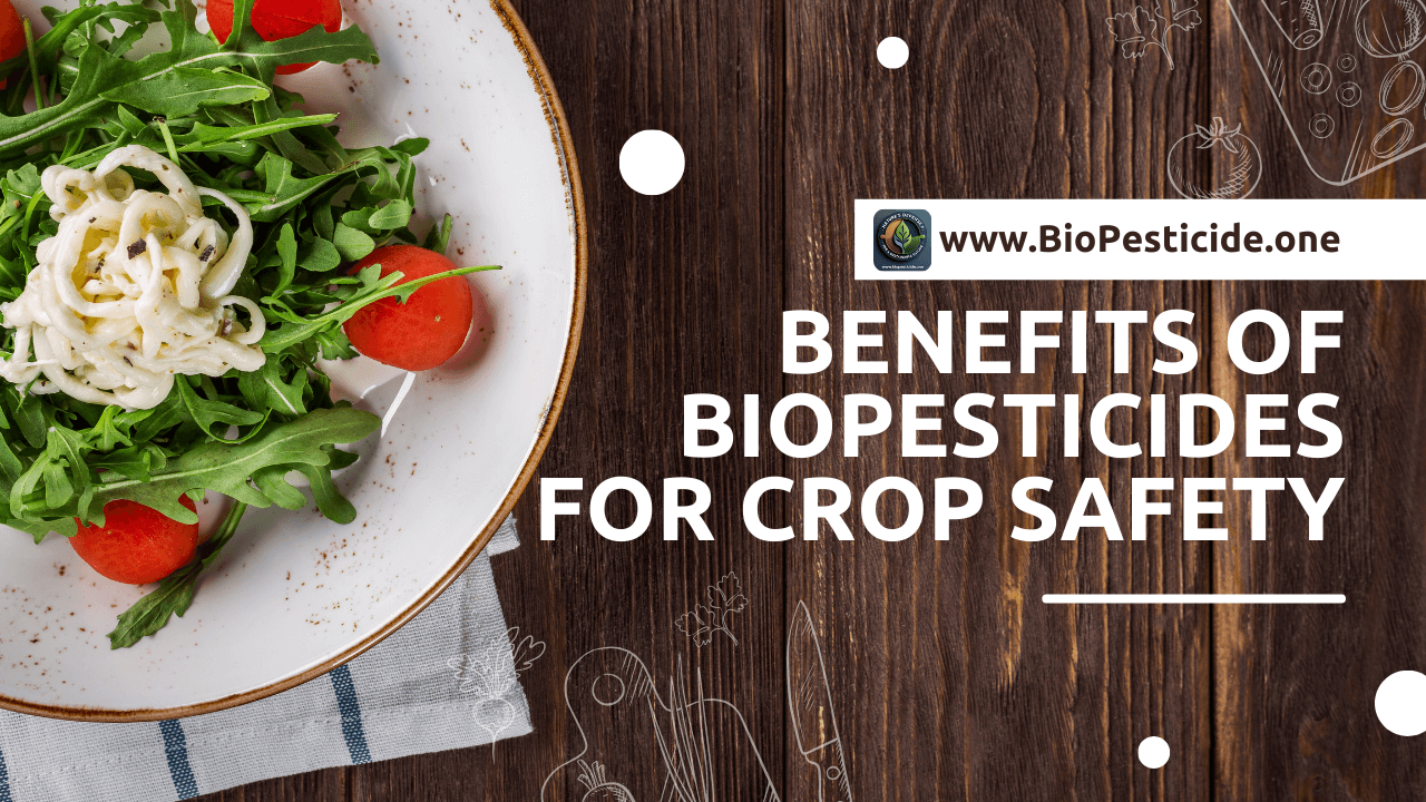 Benefits of Biopesticides for Crop Safety - Read news