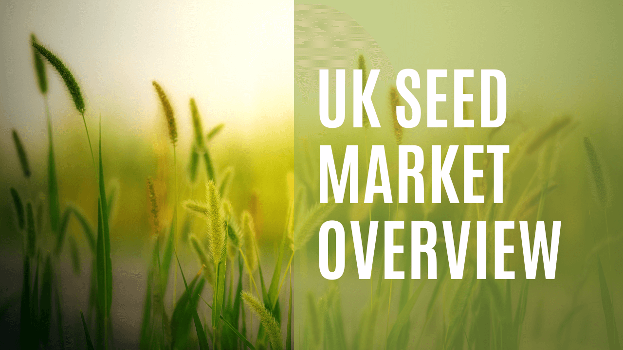 USA Seed Market 2025: Trends, Growth, and Opportunities - Read news
