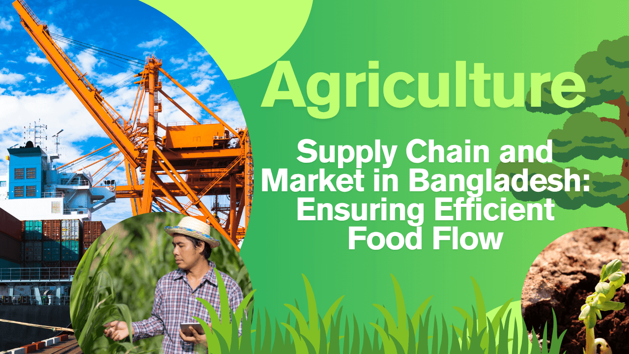 Agricultural Supply Chain and Market in Bangladesh Ensuring Efficient Food Flow - Read news