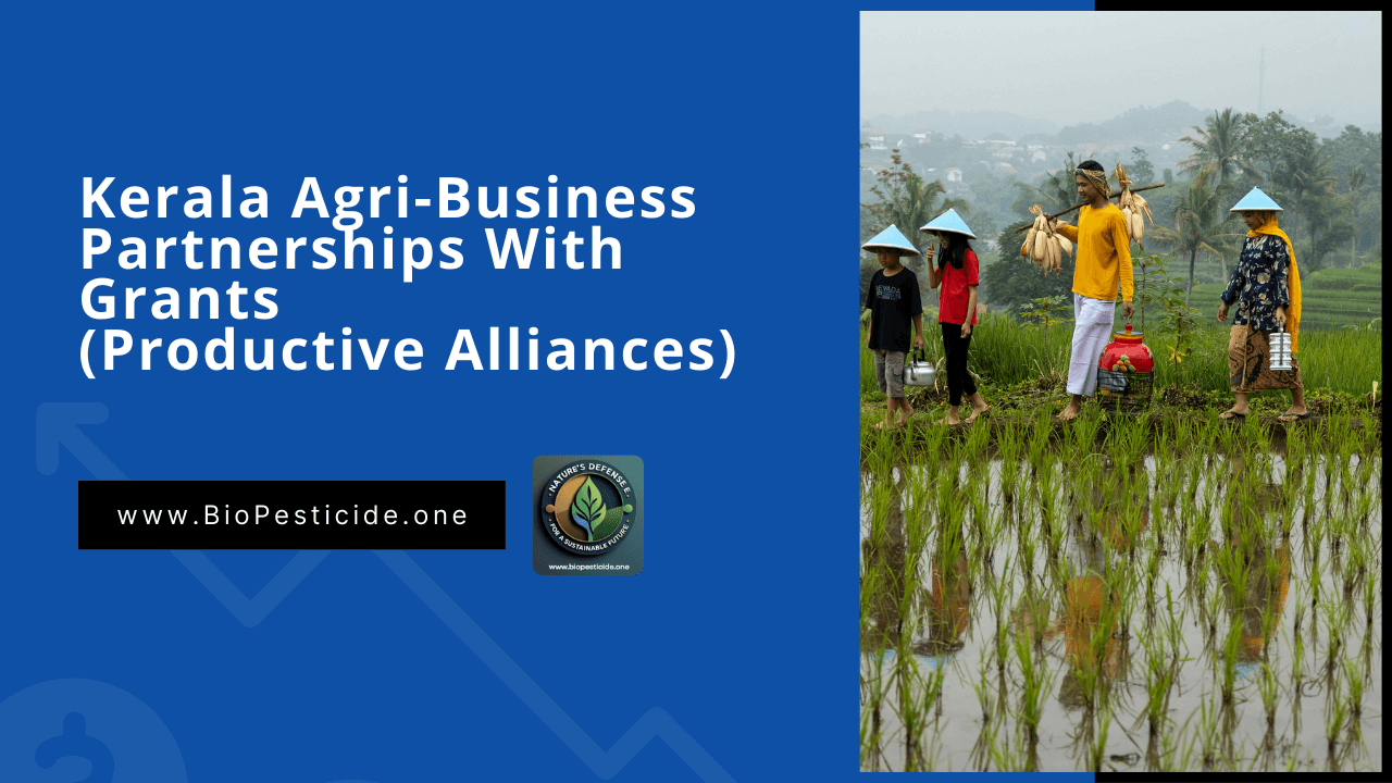 Kerala Agri‑Business Partnerships With Grants (Productive Alliances) - Read news