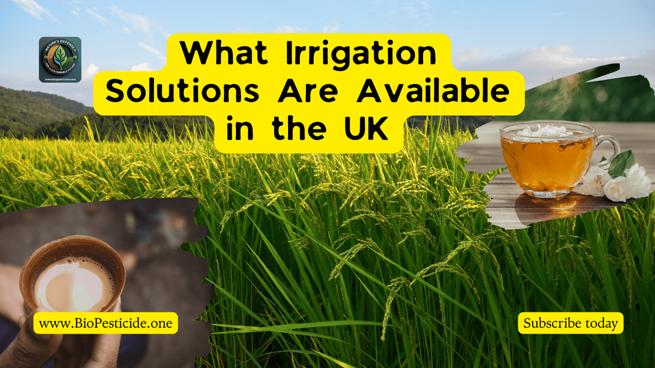 What Irrigation Solutions Are Available in the UK - Read news