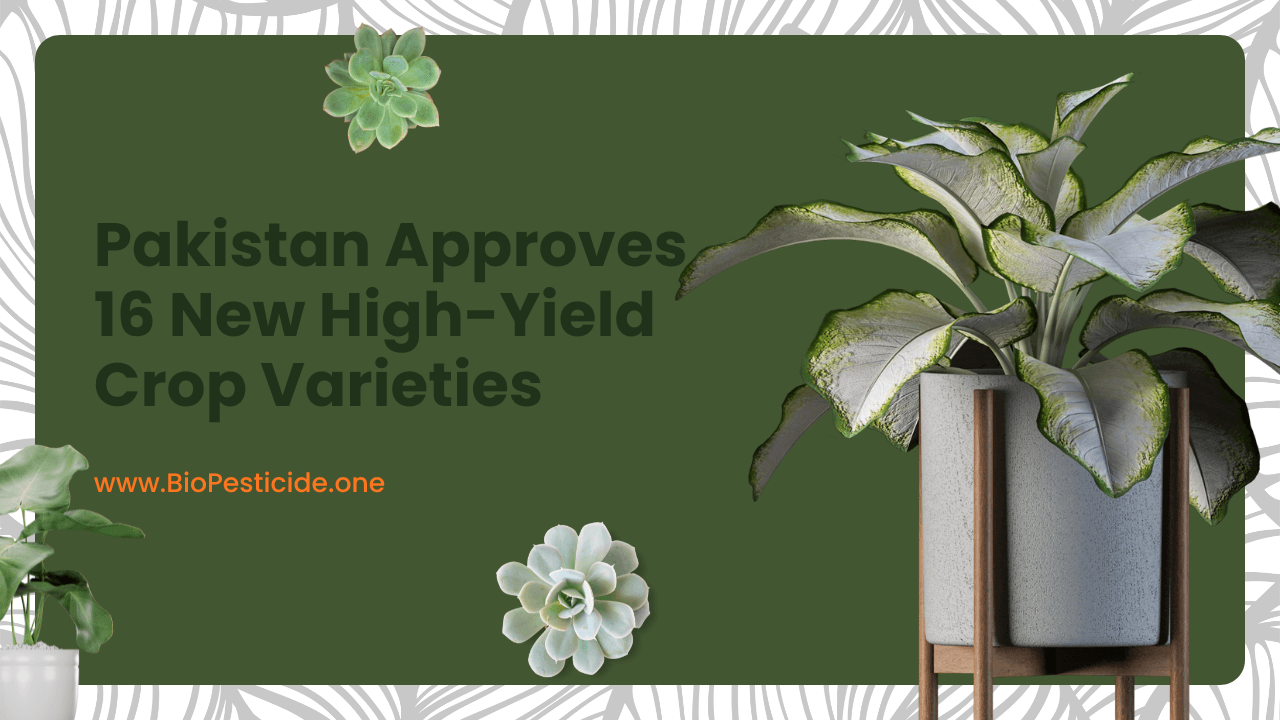 Pakistan Approves 16 New High-Yield Crop Varieties - Read news